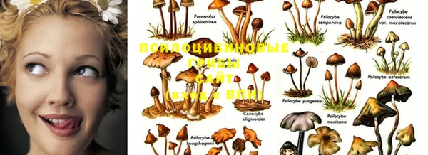винт Киренск