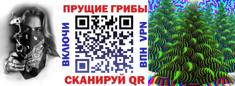 Купить где  Семилуки  Галлюциногенные грибы мицелий 